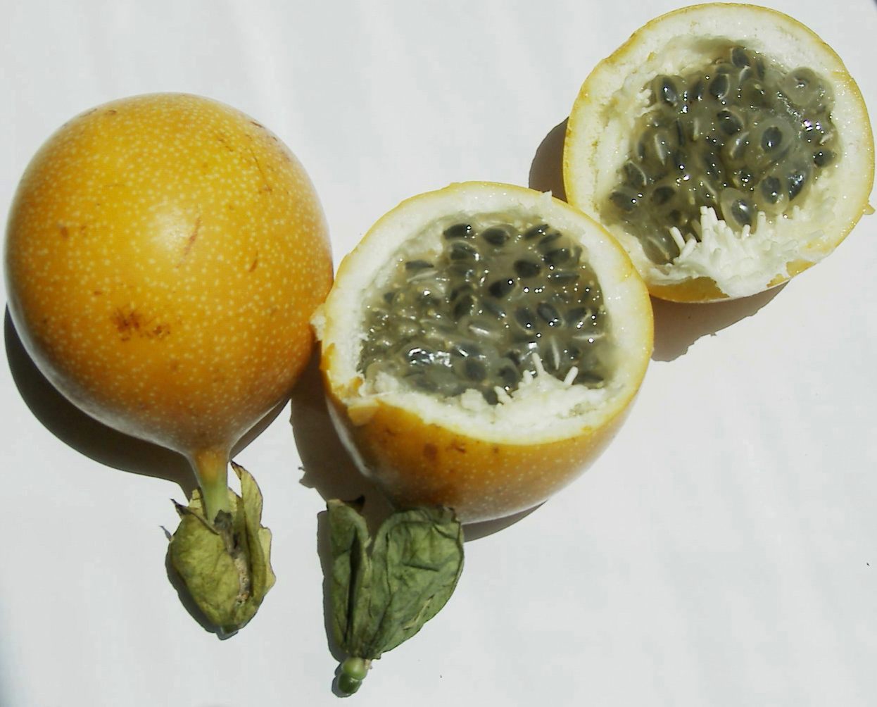 granadilla.jpg